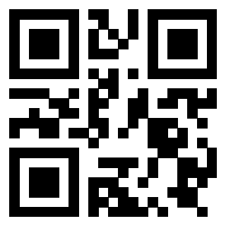 Il Qr Code di 3919789743