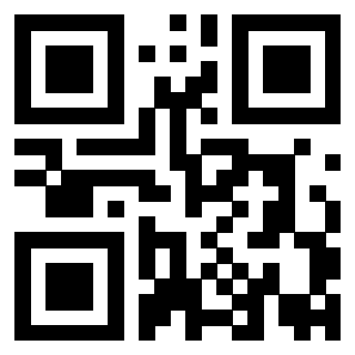 Il Qr Code di 3919789804