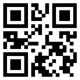 Il Qr Code di 3919789908