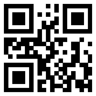 Il Qr Code di 3919789921