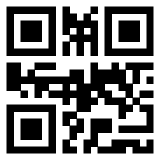 Il Qr Code di 3919789958
