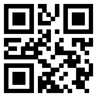 Il Qr Code di 3919789970