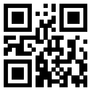Il Qr Code di 3919789972