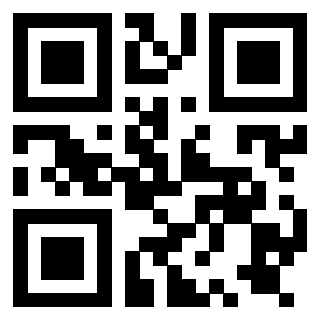 Il Qr Code di 3919789979