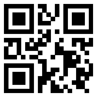 Il Qr Code di 3919789987