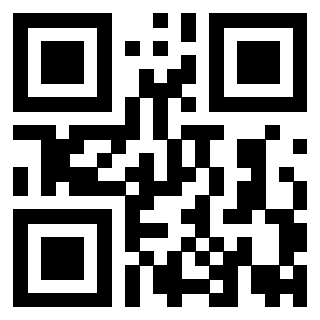 Il Qr Code di 3919789996