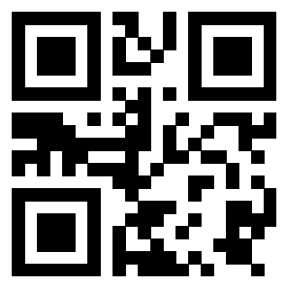 Il Qr Code di 3919790006