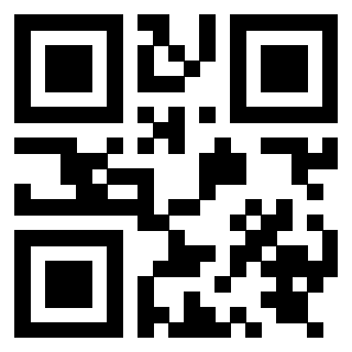 Il Qr Code di 3919828593