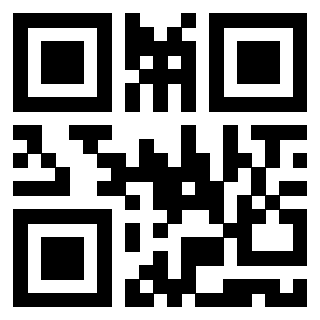 Il Qr Code di 3919828594