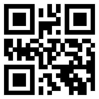 Il Qr Code di 3919828657