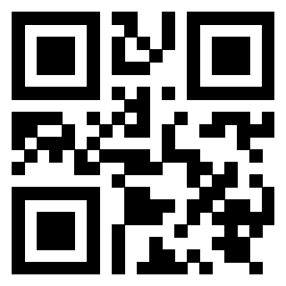 Il Qr Code di 3919828673