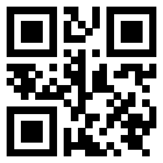 QrCode di 3919828713