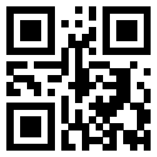 Il Qr Code di 3919828743