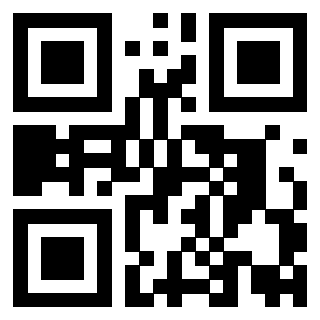 QrCode di 3919828756