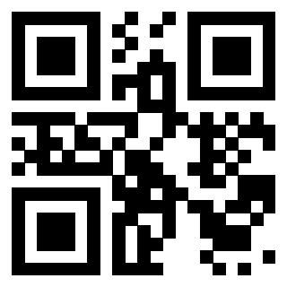 Il Qr Code di 3919828763