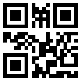 Il Qr Code di 3919828804