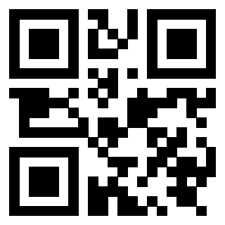 Il Qr Code di 3919828813