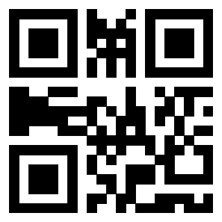 Il Qr Code di 3919828834
