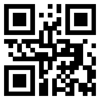 Il Qr Code di 3919828852