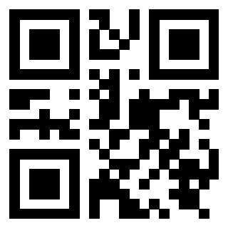 Il Qr Code di 3919828858