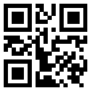 Il Qr Code di 3919828889
