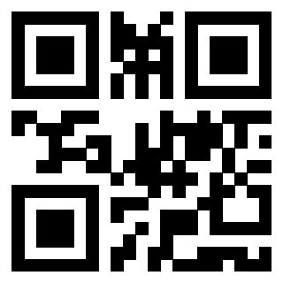 Il Qr Code di 3919828902