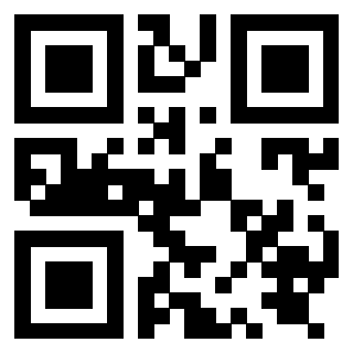 Il Qr Code di 3919828942