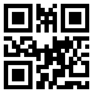 Il Qr Code di 3919828957