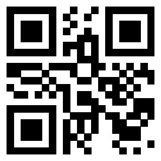 Il Qr Code di 3919828963