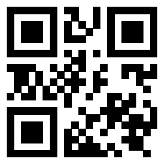 Il Qr Code di 3919828965