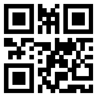 Il Qr Code di 3919828986