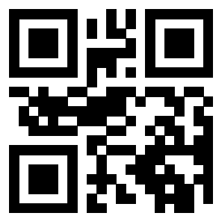 Il Qr Code di 3919828995