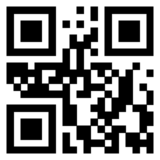 Il Qr Code di 3919829007