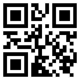Il Qr Code di 3919829016