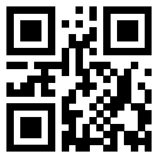 QrCode di 3919829020