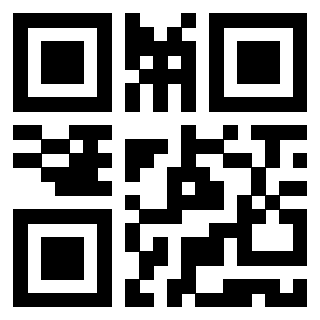 Il Qr Code di 3919829021