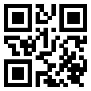 Il Qr Code di 3919829023