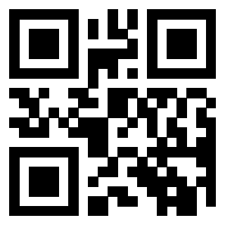 Il Qr Code di 3919829024