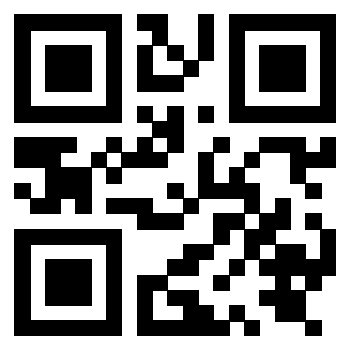 Il Qr Code di 3919829048