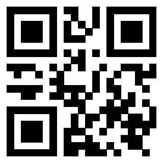 Il Qr Code di 3919829065