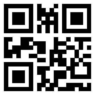 QrCode di 3919829076