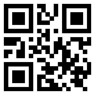 Il Qr Code di 3919829125
