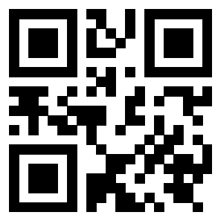 Il Qr Code di 3919829131