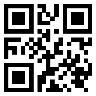 Il Qr Code di 3919829134