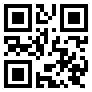 Il Qr Code di 3919829185