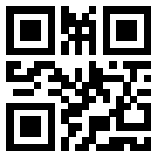 Il Qr Code di 3919829208