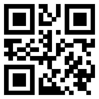 3919829213 QrCode associato