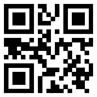 Il Qr Code di 3919829283