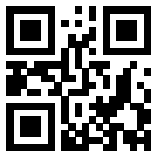 Il Qr Code di 3919829303