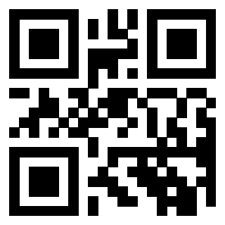 Il Qr Code di 3919829336